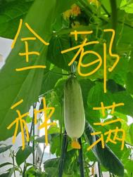 鬼打鬼国语高清免费90版无删减版